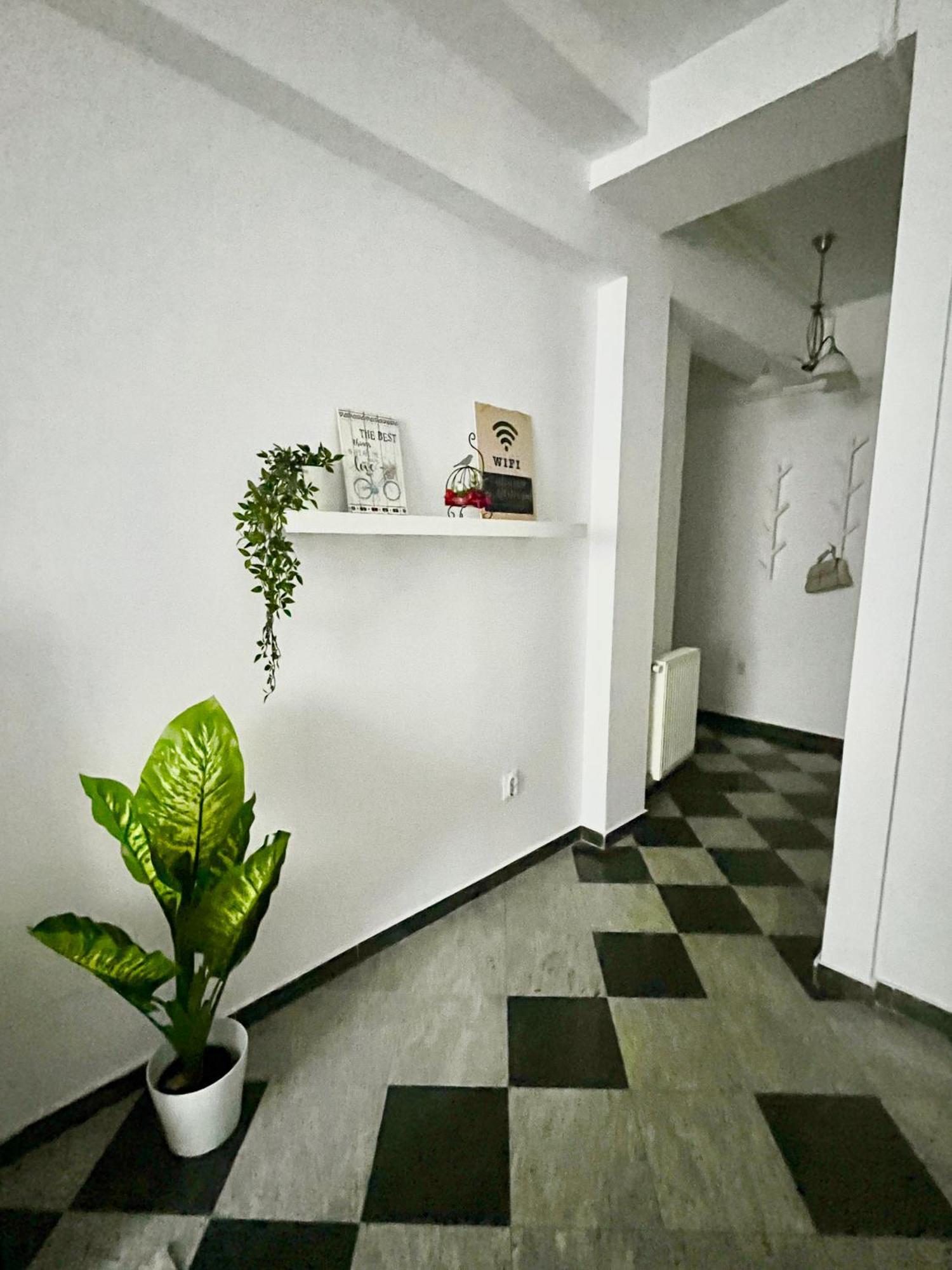 Victoriei Spacious Studio Bucarest Extérieur photo