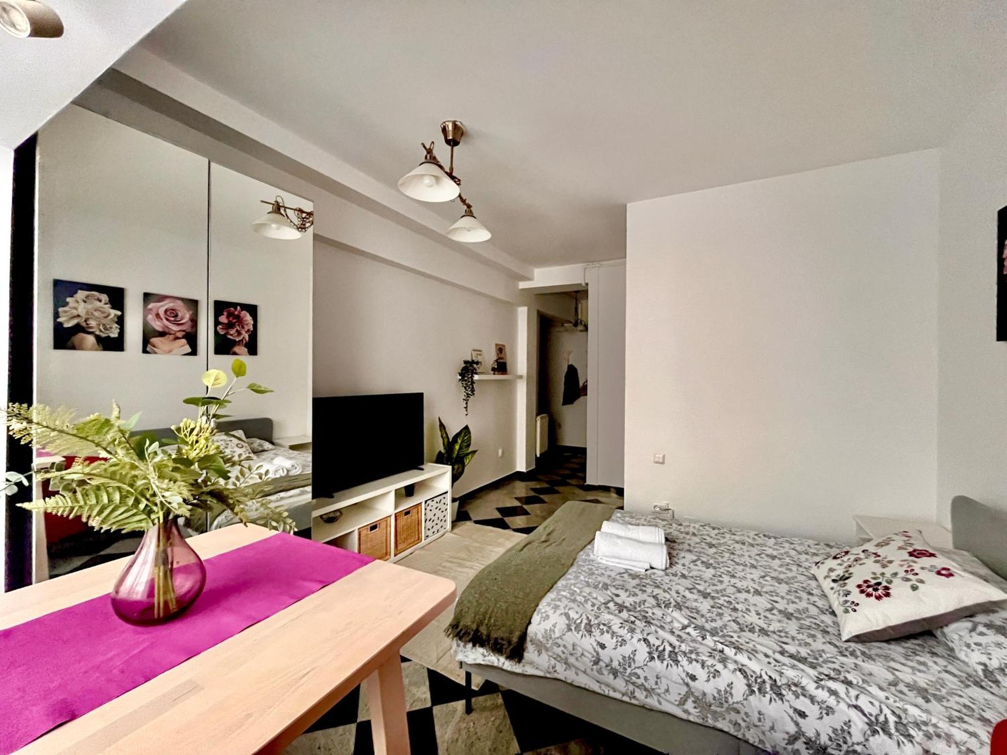 Victoriei Spacious Studio Bucarest Extérieur photo